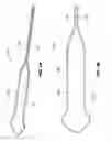 Fig. 04 - High density electrode mapping catheter