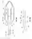 Fig. 44 - High density electrode mapping catheter
