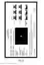 Fig. 06 - MOTION CAPTURE AND ANALYSIS SYSTEM FOR ASSESSING MAMMALIAN KINETICS