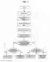 Fig. 04 - Brain disorder evaluation apparatus