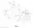 Fig. 02 - GARMENT FOR MAINTAINING WARMTH WHILE FACILITATING THE PLACEMENT OF A MONITORING DEVICE