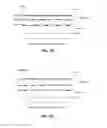 Fig. 20 - METHOD AND APPARATUS FOR DETECTING A BIOLOGICAL CONDITION FROM A COMPARATIVE MEASUREMENT