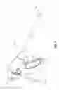 Fig. 02 - Surgical forceps