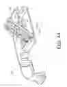 Fig. 43 - Transcutaneous analyte sensors, applicators therefor, and associated methods