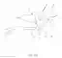 Fig. 07 - Surgical Method and Apparatus