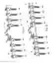 Fig. 08 - Pedicle screw