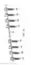Fig. 09 - Pedicle screw