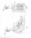 Fig. 06 - Occipital plate systems