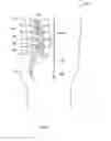 Fig. 02 - Surgical tool