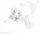 Fig. 01 - Control method for controlling a robot for orthopedic surgery