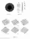 Fig. 06 - Multipurpose implant with modeled surface structure for soft tissue reconstruction