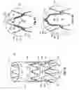 Fig. 08 - Fenestrated stent grafts