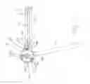 Fig. 07 - Extension assist device for an anatomic joint brace