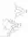 Fig. 04 - Controlled strain skin treatment devices and methods