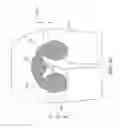 Fig. 22 - Dressing and Dressing Assembly for Preventing Pressure Ulcers