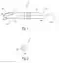 Fig. 02 - Tampon assembly having a shaped pledget