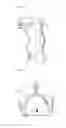 Fig. 03 - SPINAL COLUMN SUPPORT