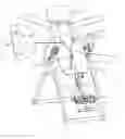 Fig. 01 - Strap for inversion therapy table