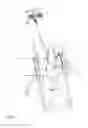 Fig. 04 - Strap for inversion therapy table