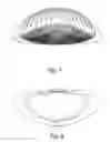 Fig. 08 - Skin cleanser