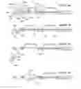 Fig. 07 - Child resistant blister package
