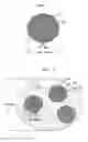 Fig. 02 - Plasmonic enhancement of absorption in sunscreen applications