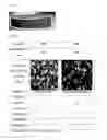 Fig. 03 - Cosmetic containing foam as carrier