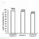 Fig. 06 - Functional polymer gel containing organic nanotubes and method for producing same