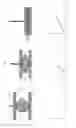 Fig. 02 - TAMPER-RESISTANT DOSAGE FORM WITH IMMEDIATE RELEASE AND RESISTANCE AGAINST SOLVENT EXTRACTION
