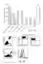 Fig. 05 - METHODS OF TREATMENT OF INFLAMMATION OF THE GUT