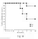 Fig. 18 - METHODS OF TREATMENT OF INFLAMMATION OF THE GUT
