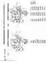 Fig. 08 - ENHANCED ATRA-RELATED COMPOUNDS DERIVED FROM STRUCTURE-ACTIVITY RELATIONSHIPS AND MODELING FOR INHIBITING PIN1