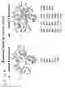 Fig. 09 - ENHANCED ATRA-RELATED COMPOUNDS DERIVED FROM STRUCTURE-ACTIVITY RELATIONSHIPS AND MODELING FOR INHIBITING PIN1