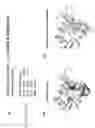 Fig. 12 - ENHANCED ATRA-RELATED COMPOUNDS DERIVED FROM STRUCTURE-ACTIVITY RELATIONSHIPS AND MODELING FOR INHIBITING PIN1