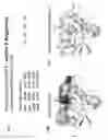 Fig. 17 - ENHANCED ATRA-RELATED COMPOUNDS DERIVED FROM STRUCTURE-ACTIVITY RELATIONSHIPS AND MODELING FOR INHIBITING PIN1