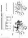 Fig. 19 - ENHANCED ATRA-RELATED COMPOUNDS DERIVED FROM STRUCTURE-ACTIVITY RELATIONSHIPS AND MODELING FOR INHIBITING PIN1