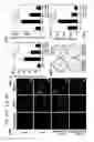 Fig. 28 - ENHANCED ATRA-RELATED COMPOUNDS DERIVED FROM STRUCTURE-ACTIVITY RELATIONSHIPS AND MODELING FOR INHIBITING PIN1