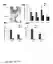 Fig. 81 - ENHANCED ATRA-RELATED COMPOUNDS DERIVED FROM STRUCTURE-ACTIVITY RELATIONSHIPS AND MODELING FOR INHIBITING PIN1