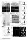 Fig. 89 - ENHANCED ATRA-RELATED COMPOUNDS DERIVED FROM STRUCTURE-ACTIVITY RELATIONSHIPS AND MODELING FOR INHIBITING PIN1