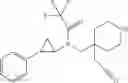 Fig. 23 - Cyclopropylamines as LSD1 inhibitors