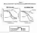 Fig. 02 - Methods for treating multiple myeloma with 3-(4-amino-1-oxo-1,3-dihydroisoindol-2-yl)-piperidine-2,6-dione after stem cell transplantation