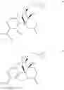 Fig. 07 - Morphinan Derivatives with High Oral Bioavailability