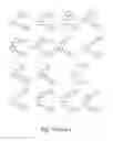 Fig. 08 - Treatment of GVHD