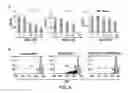 Fig. 12 - Treatment of GVHD