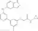 Fig. 131 - Treatment of GVHD