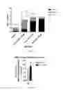 Fig. 12 - Treatment