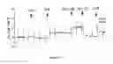 Fig. 13 - Treatment