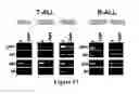 Fig. 23 - Therapies for hematologic malignancies