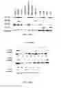 Fig. 26 - Therapies for hematologic malignancies