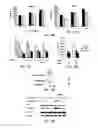 Fig. 31 - Therapies for hematologic malignancies